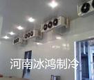 周口食用保鲜冷库