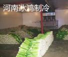 蔬菜保鲜库