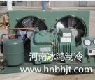 德国比泽尔机组