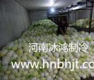 蔬菜保鲜库