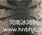 焦作菌类冷库