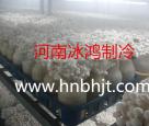 保鲜库安装