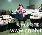 鲜花保鲜库安装