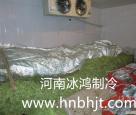 周口保鲜库