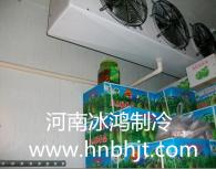 水果保鲜库