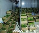 河南蔬菜保鲜库安装