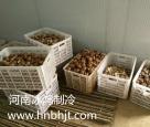 河南鲁山保鲜库安装