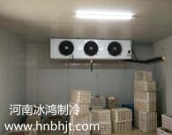 河南香菇保鲜库